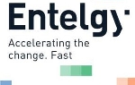 Logo de Entelgy